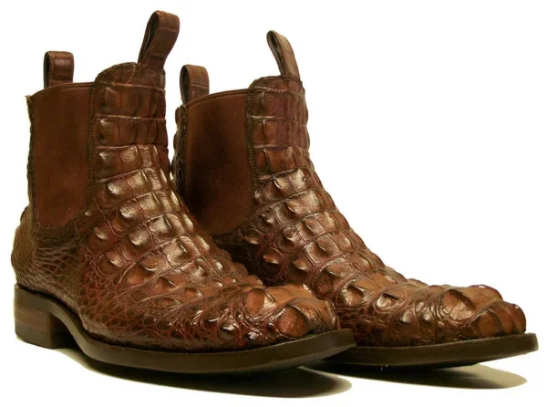 Hornback chelsea.webp