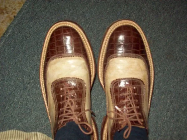 Todays shoos 165.webp
