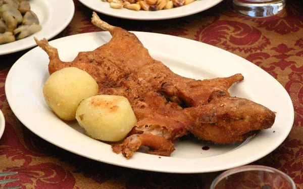 guinea_pig1.webp